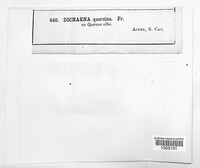Image Associated With the Occurence